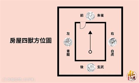 龍邊有路燈|龍邊路燈：風水新觀點